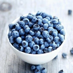 Саженец черники Синее золото